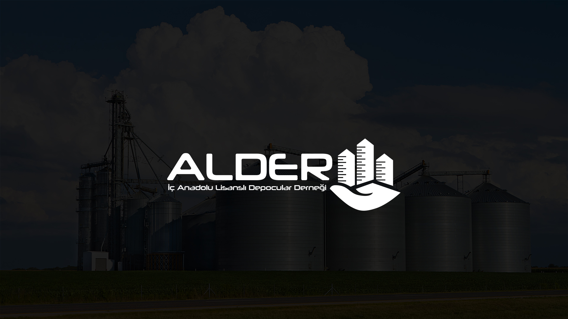 Alder